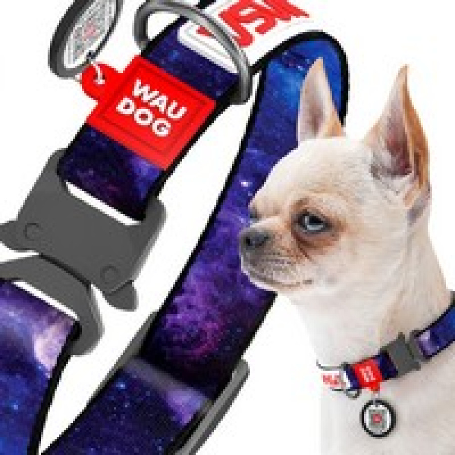Нашийник для собак WAUDOG Nylon з QR паспортом, малюнок "NASA21", металева пряжка-фастекс з площадкою для гравіювання