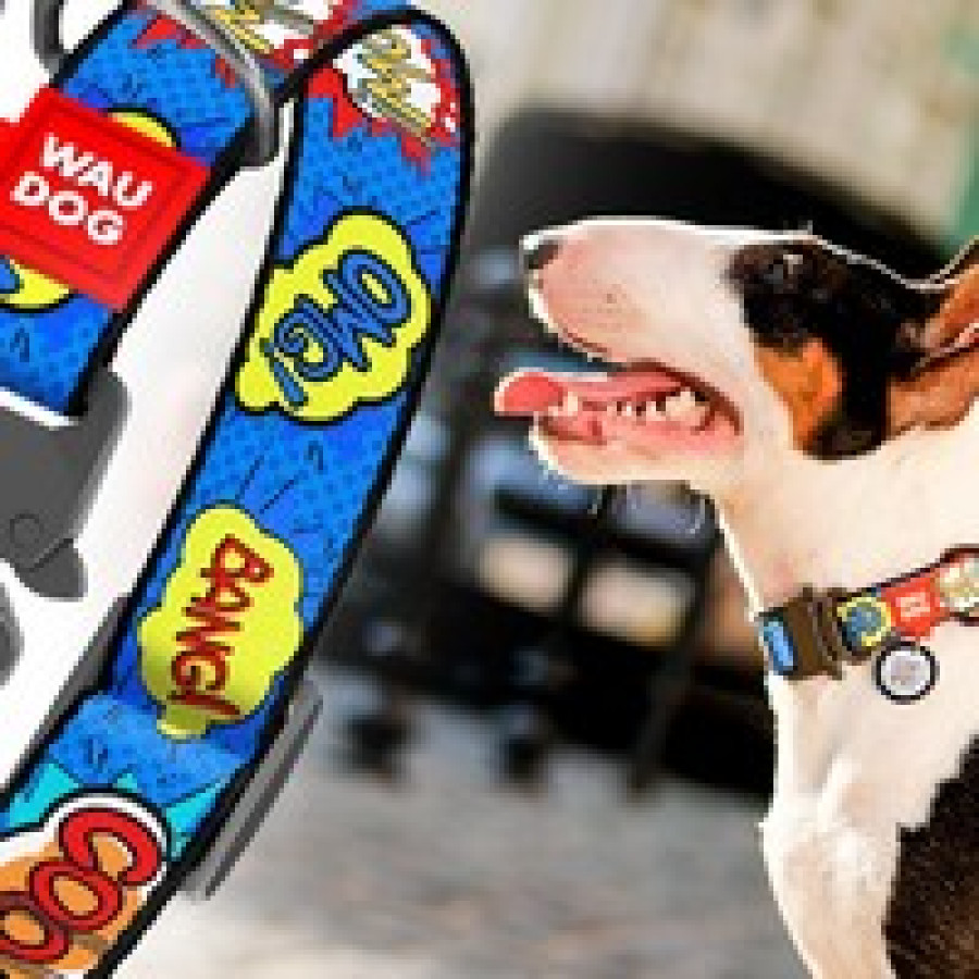 Нейлоновий нашийник для собак великих порід WAUDOG Nylon з QR паспортом, з малюнком "Етно синій", металева пряжка-фастекс з площадкою для гравіювання, 46-70 см 35 мм