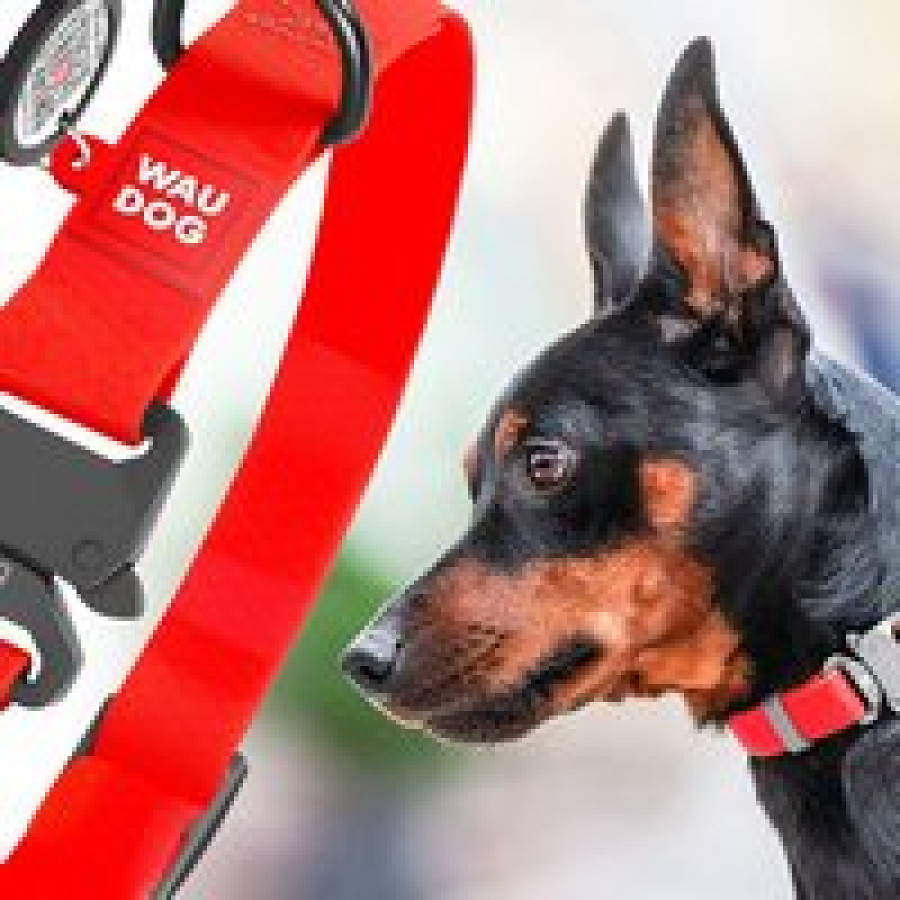 Нашийник для собак WAUDOG Waterproof з QR паспортом, водостійкий, пластикова пряжка-фастекс, червоний