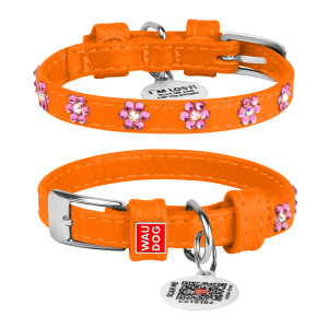 WAUDOG Glamour genuine leather dog collar with QR passport, glued decorations, orange, W 15 mm, L 27-36 cm