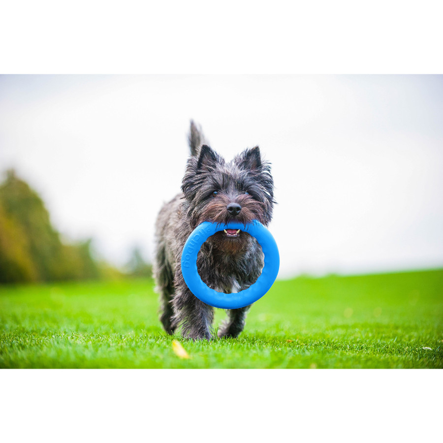 PitchDog (ПітчДог) - кільце іграшка для собак, Блакитний
