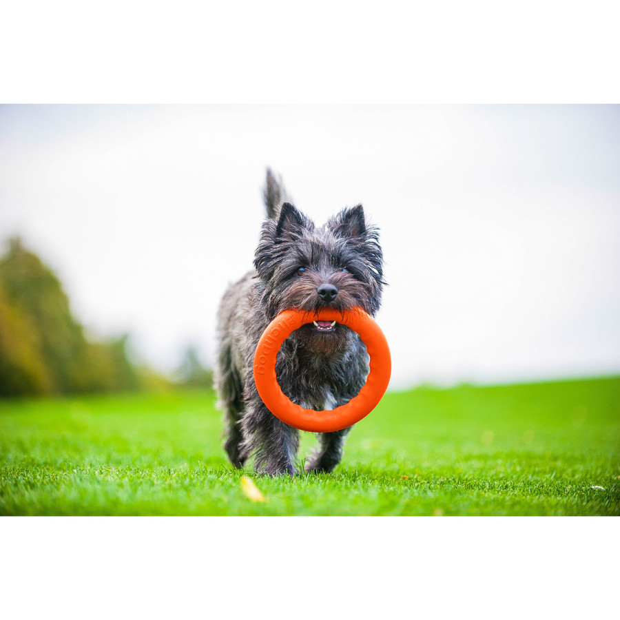 PitchDog (ПітчДог) - кільце іграшка для собак, Помаранчевий
