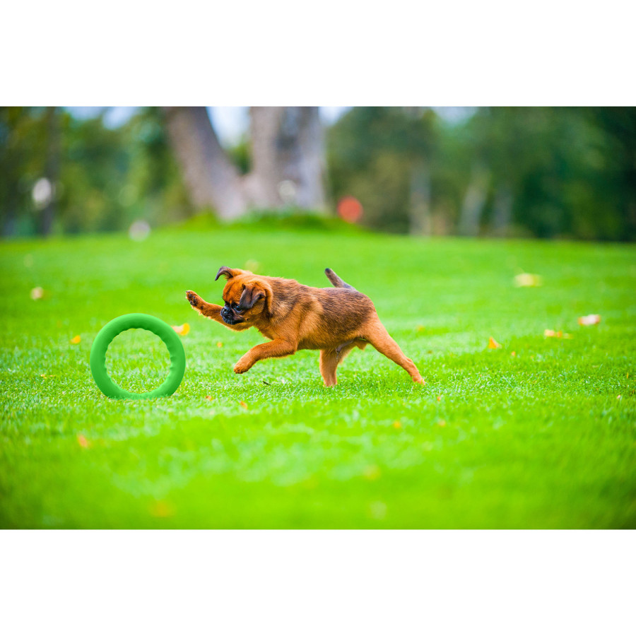 PitchDog (ПітчДог) - кільце іграшка для собак, Зелений