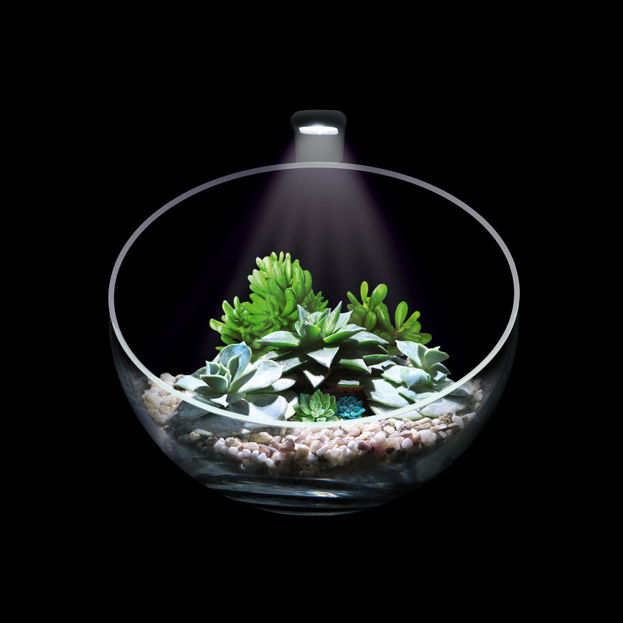 Wabi Set - декоративний акваріумний набір