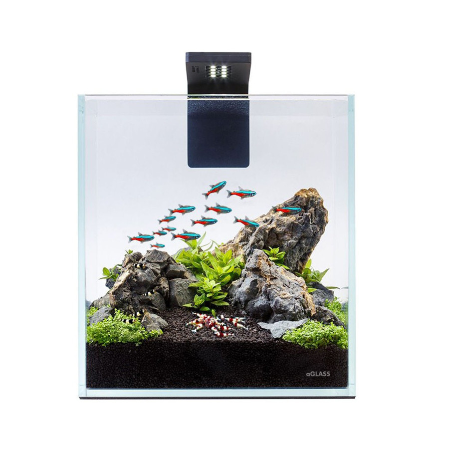 Акваріумний набір Nano Set 10 літрів для маленьких видів риб, креветок та ін.