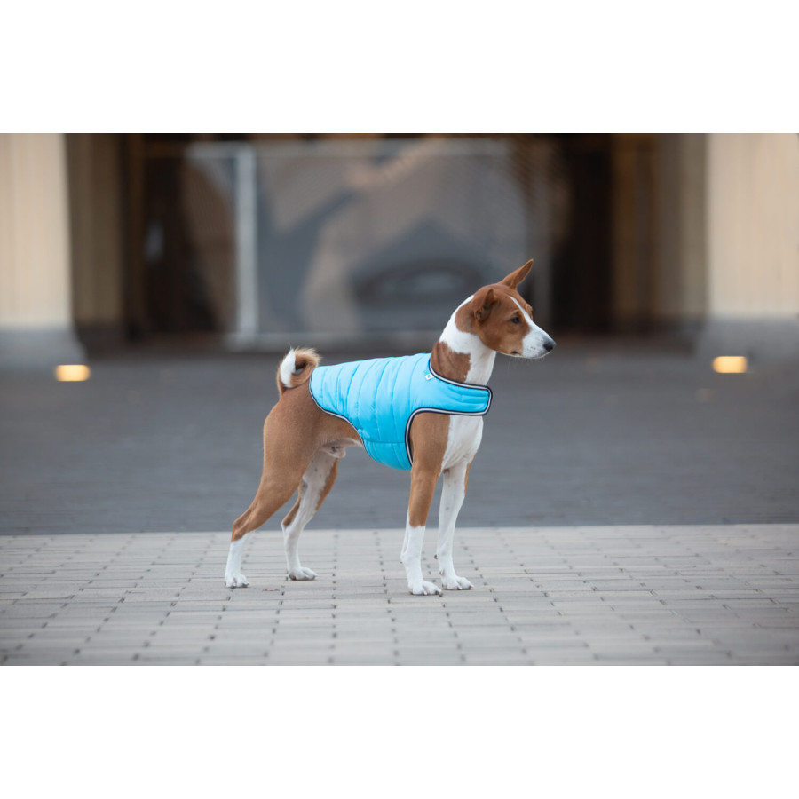 Куртка-накидка для собак AiryVest блакитна