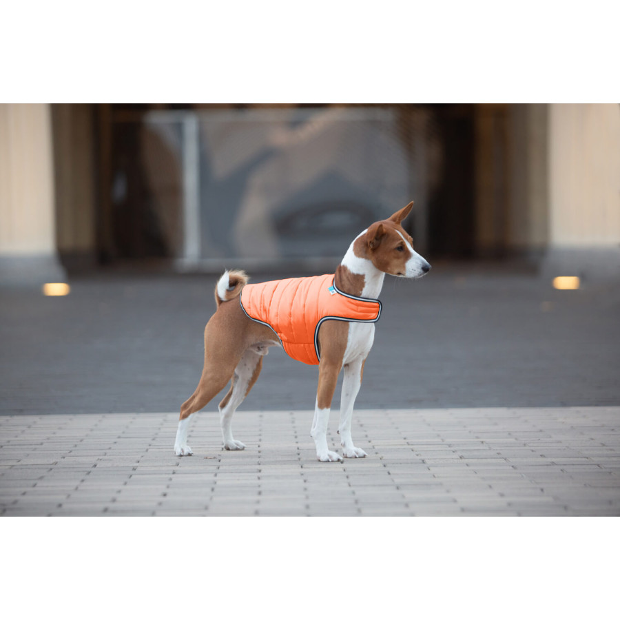 Курточка-накидка для собак AiryVest оранжевая
