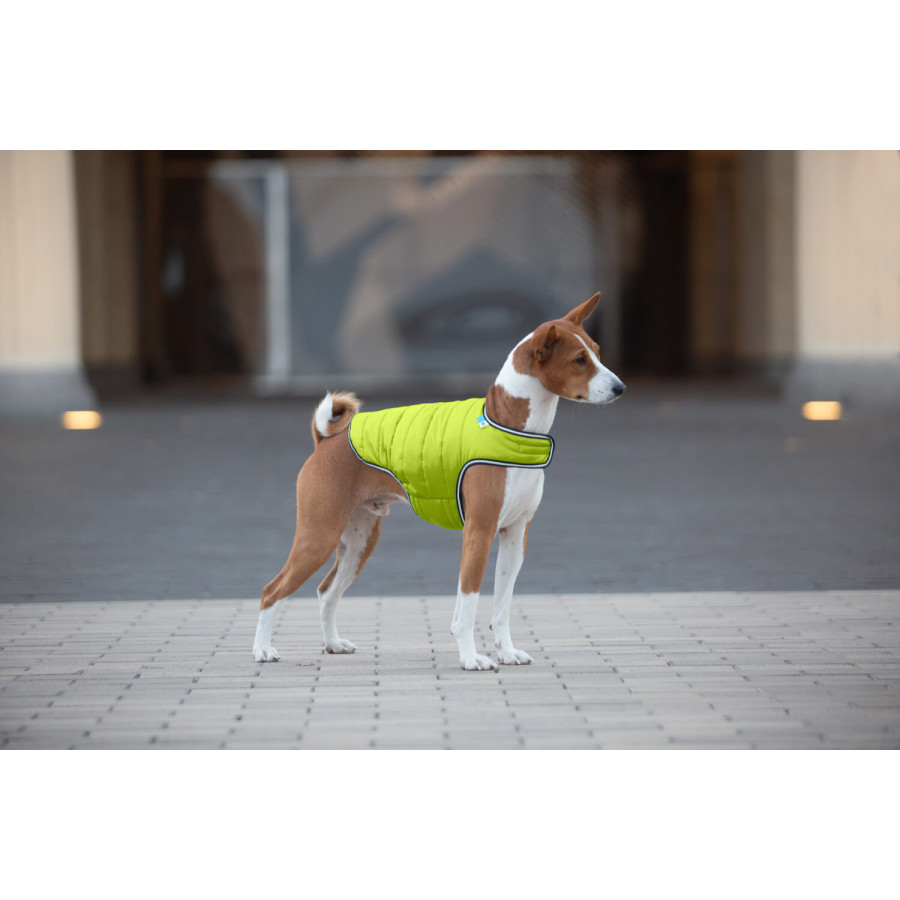 Курточка-накидка для собак AiryVest салатовая