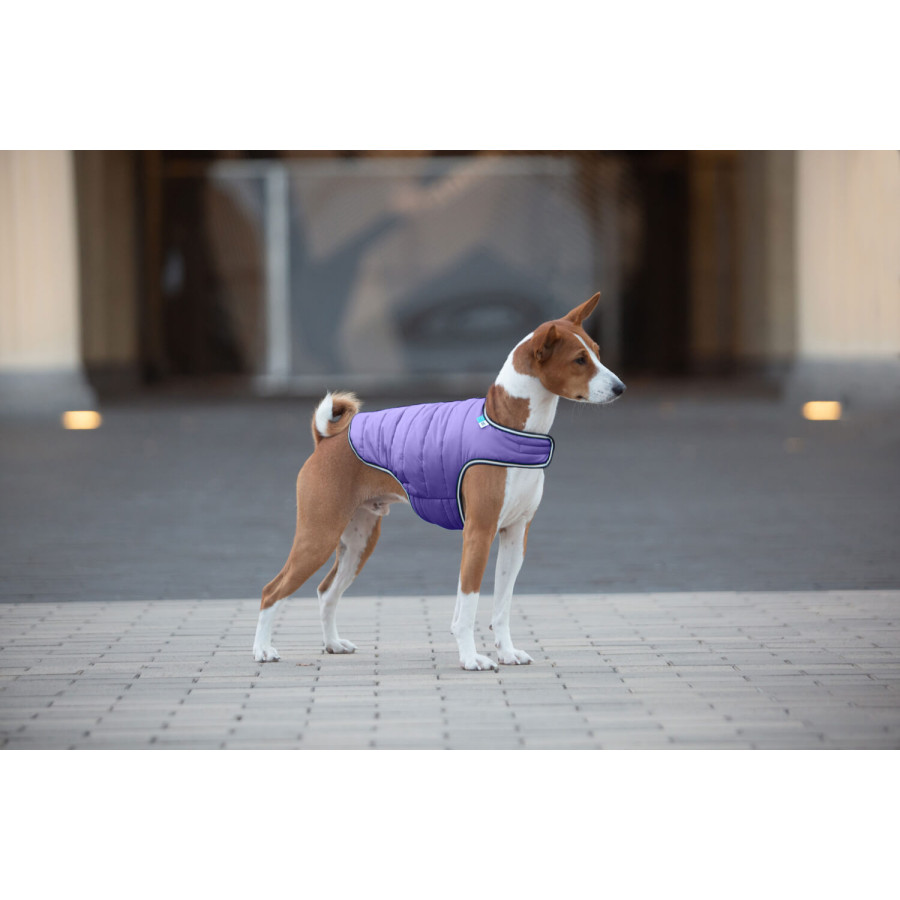 Куртка-накидка для собак AiryVest фіолетова