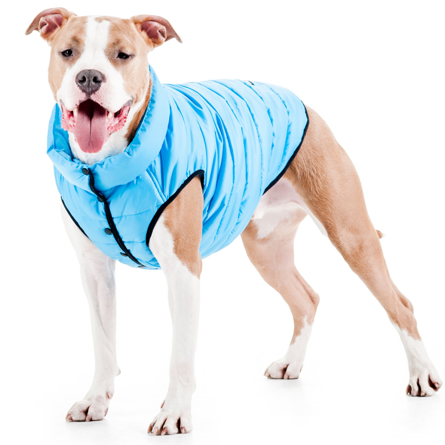 Одностороння курточка для собак AiryVest ONE блакитна