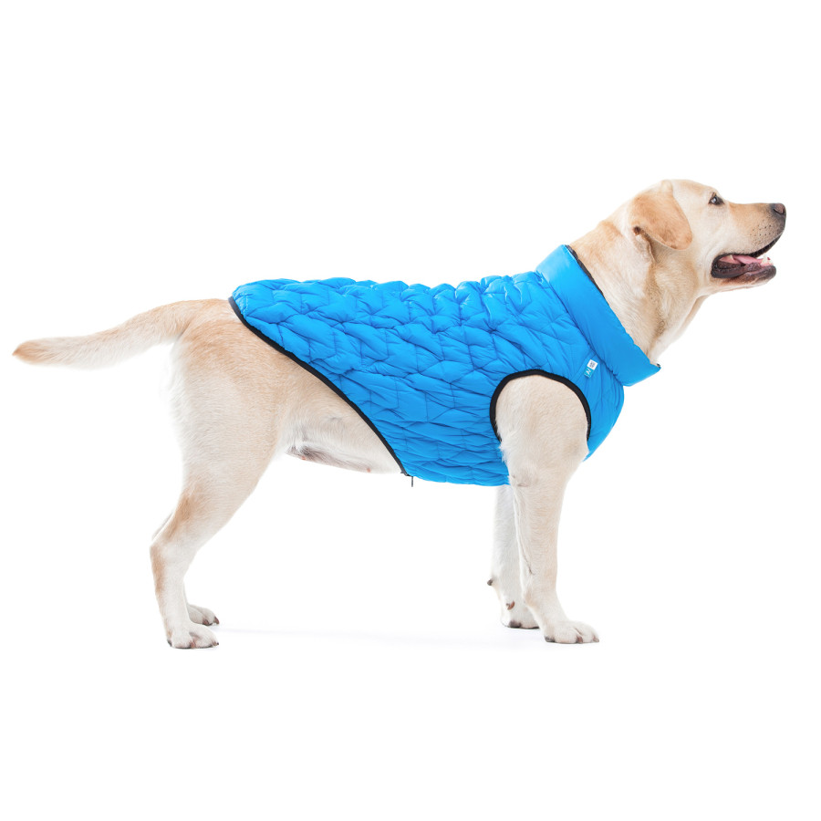 Двостороння курточка для собак AiryVest UNI, блакитна/чорна
