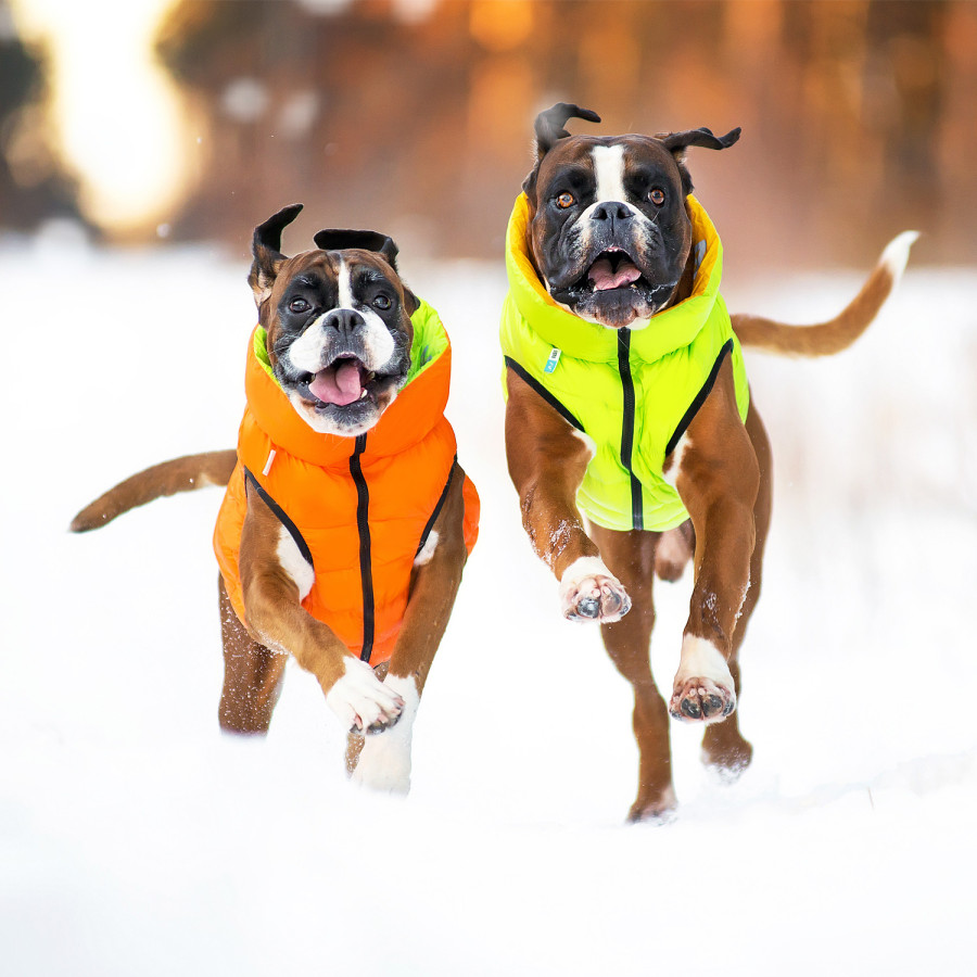 Двостороння курточка для собак AiryVest помаранчево-салатова
