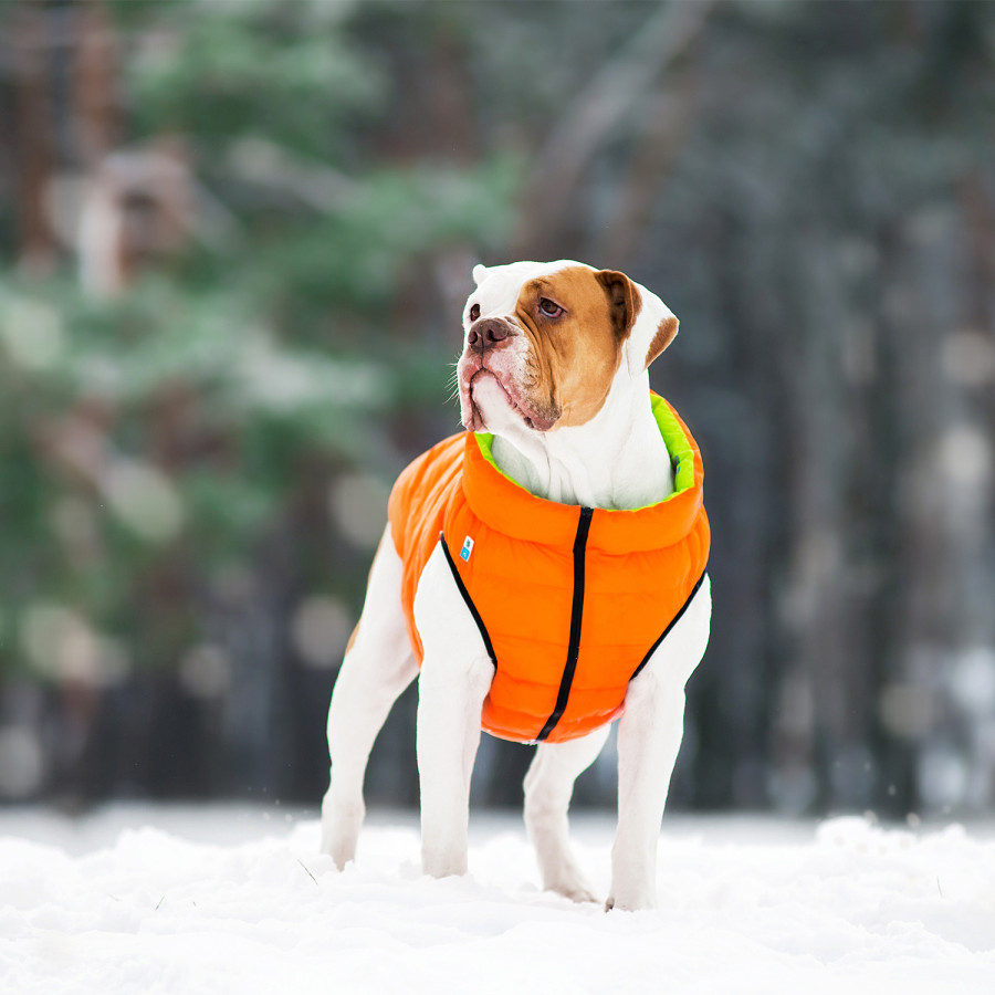 Двостороння курточка для собак AiryVest помаранчево-салатова
