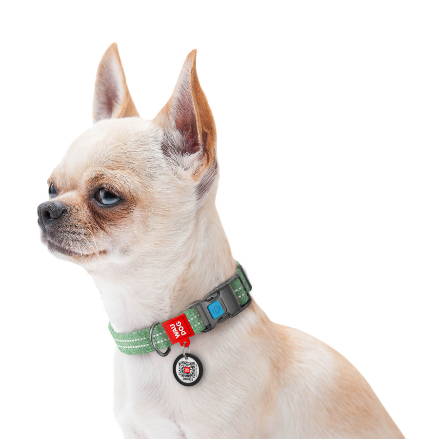 Нашийник для собак WAUDOG Re-cotton з QR паспортом, з відновленої бавовни, пластикова пряжка, зелений