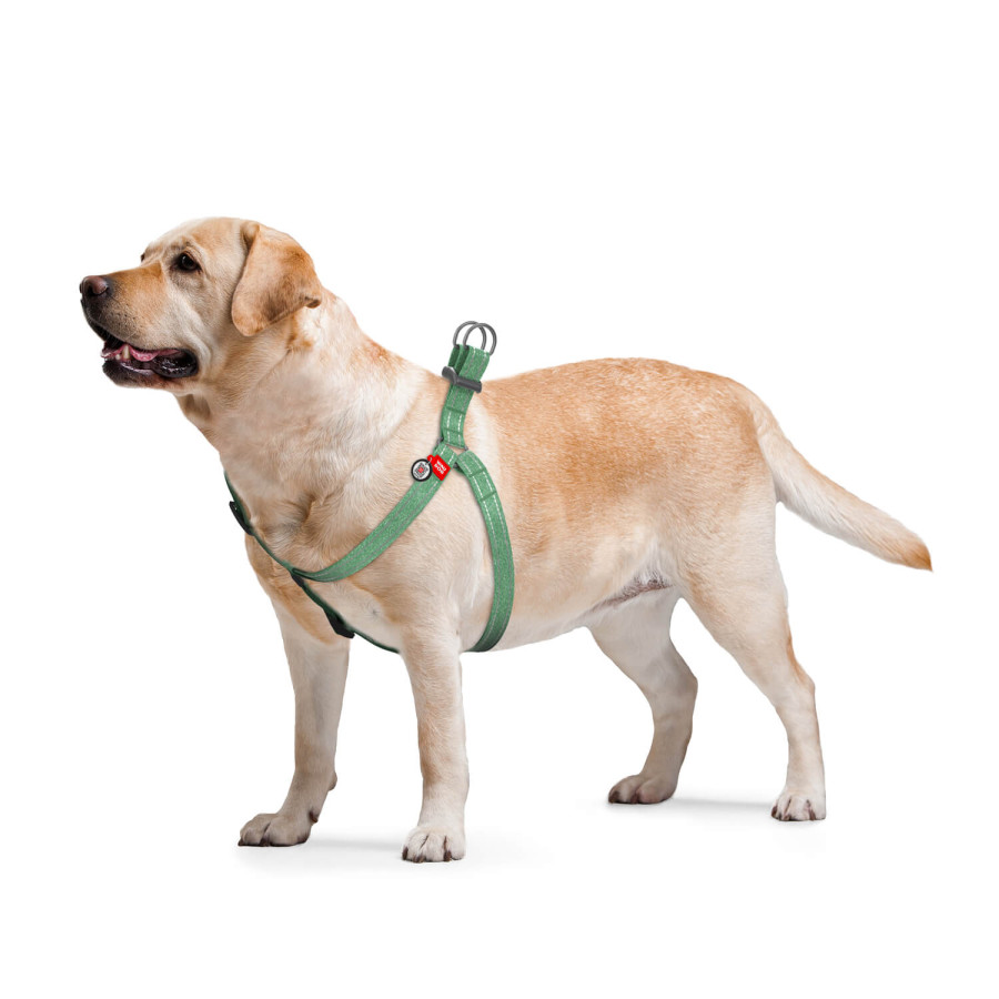 Шлея для собак WAUDOG Re-cotton з QR паспортом, з відновленої бавовни, пластикова пряжка, зелений