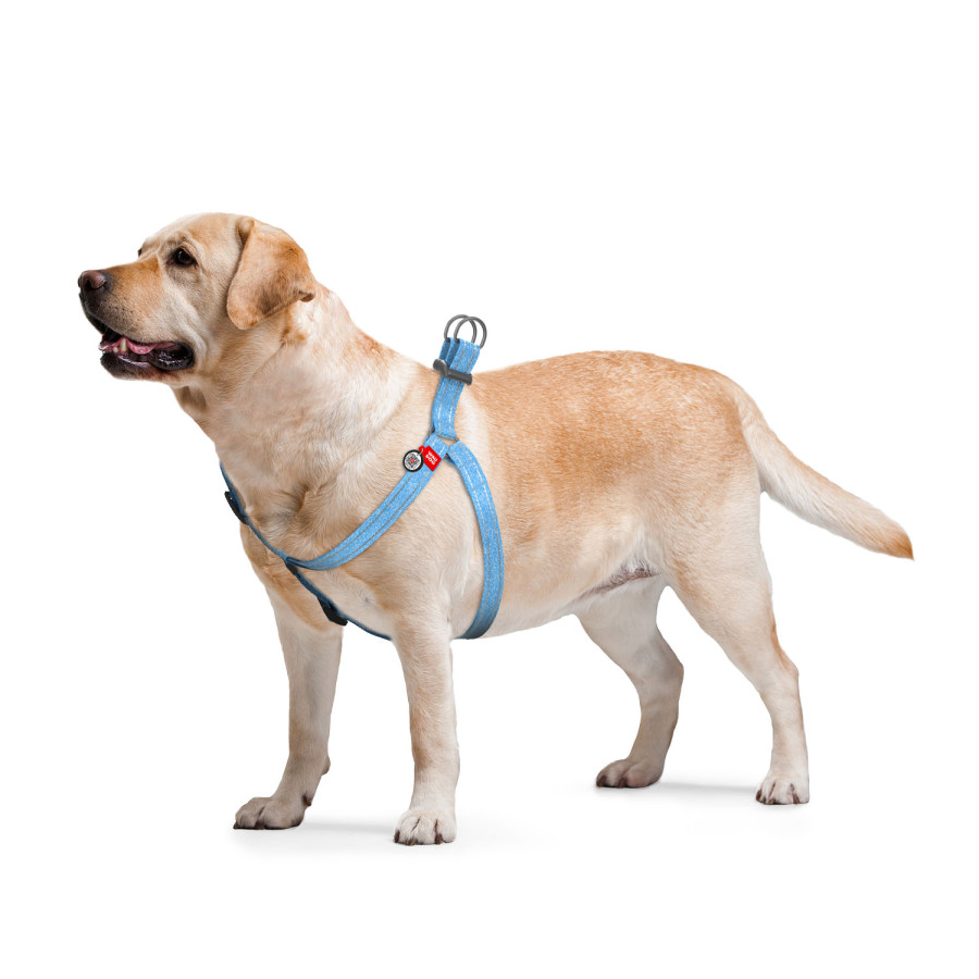 WAUDOG Re-cotton harness with QR passport, from recycled cotton, plastic buckle, blue