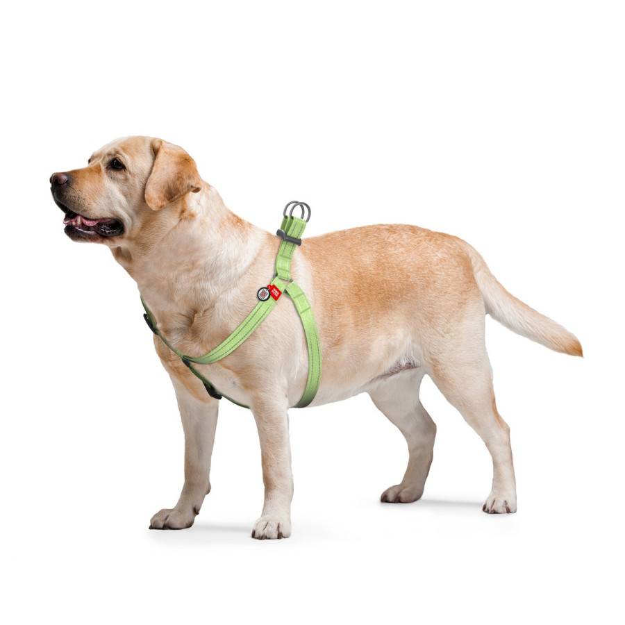 Шлея для собак WAUDOG Re-cotton с QR паспортом, из восстановленного хлопка, светоотражающая, пластиковый фастекс, зеленый