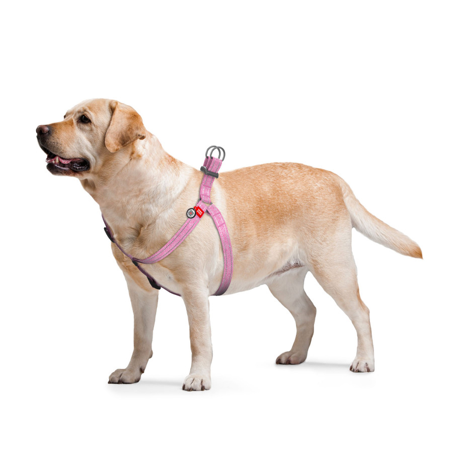 Шлея для собак WAUDOG Re-cotton з QR паспортом, з відновленої бавовни, пластикова пряжка, рожевий