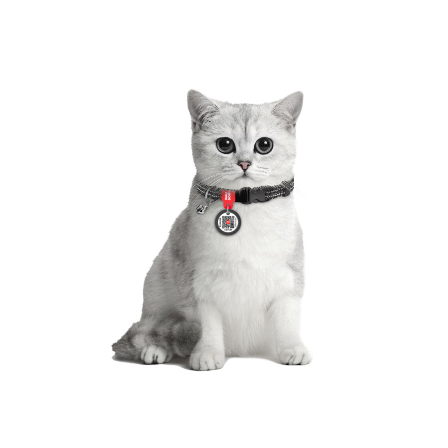 Нашийник для котів з відновленої бавовни WAUDOG Re-cotton з QR паспортом, світловідбивний, пластикова пряжка, розмір XS, ширина 10 мм, довжина 20-30 см, сірий