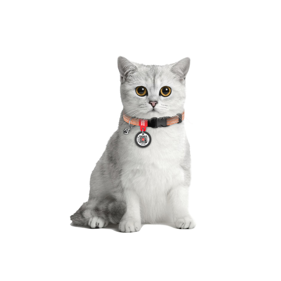Нашийник для котів з відновленої бавовни WAUDOG Re-cotton з QR паспортом, світловідбивний, пластикова пряжка, розмір XS, ширина 10 мм, довжина 20-30 см, помаранчевий