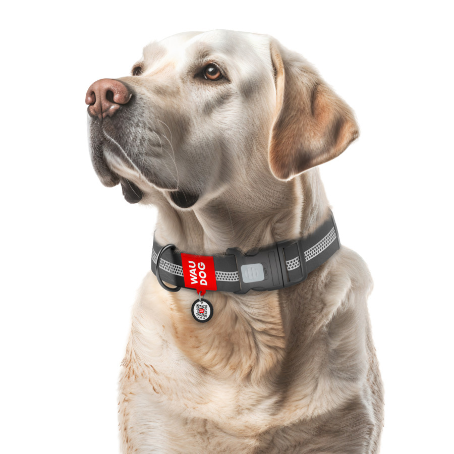 WAUDOG Waterproof dog collar with QR-passport, plastic fastex, black (width 40 mm, length 43-70 cm)