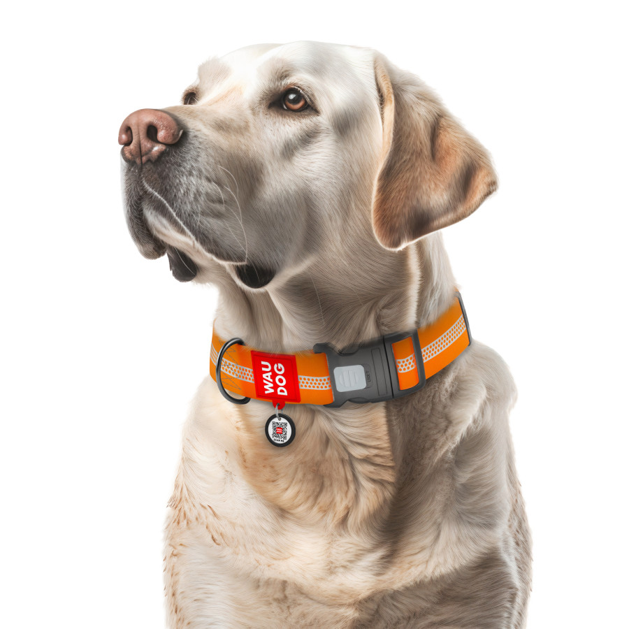 Нашийник для собак водостійкий WAUDOG Waterproof з QR паспортом, світловідбивний, пластиковий фастекс, помаранчевий, розмір XXL, 46-70 см 40 мм