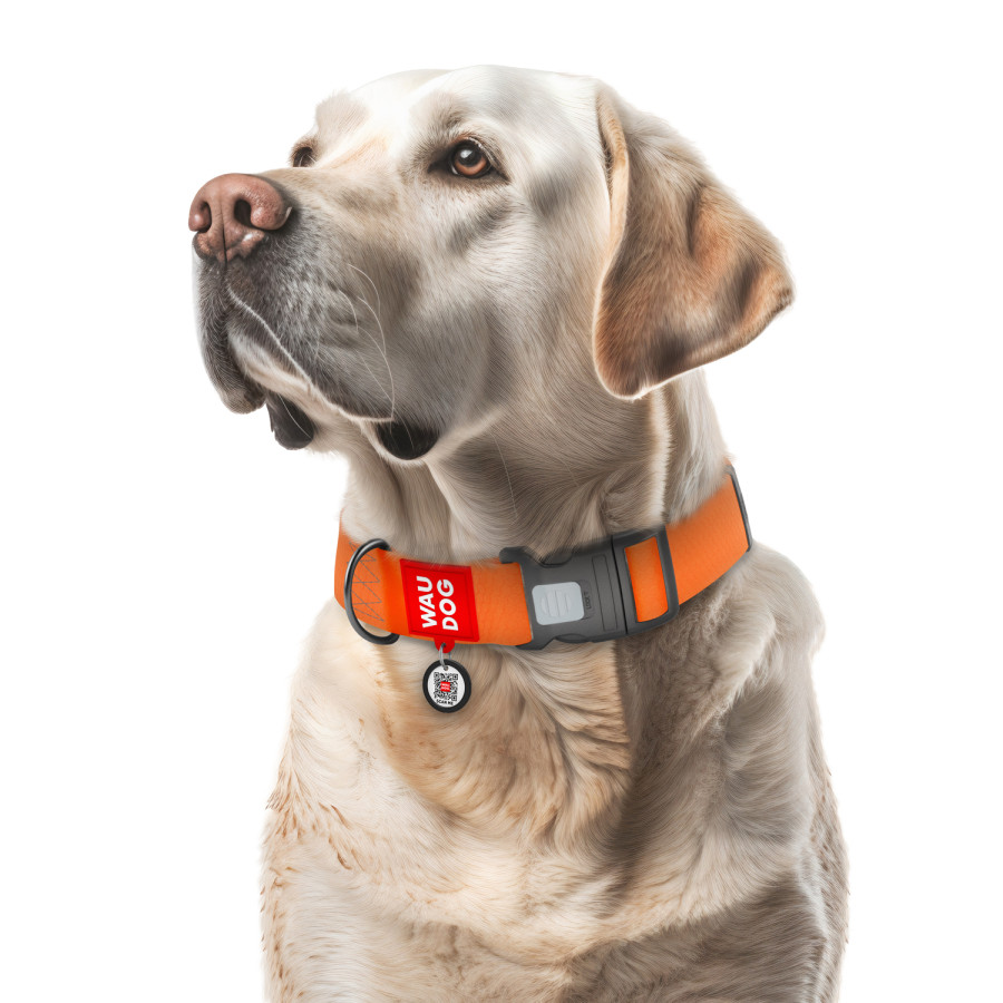 Нашийник для собак водостійкий WAUDOG Waterproof з QR паспортом, пластиковий фастекс, помаранчевий, розмір XXL, 46-70 см 40 мм