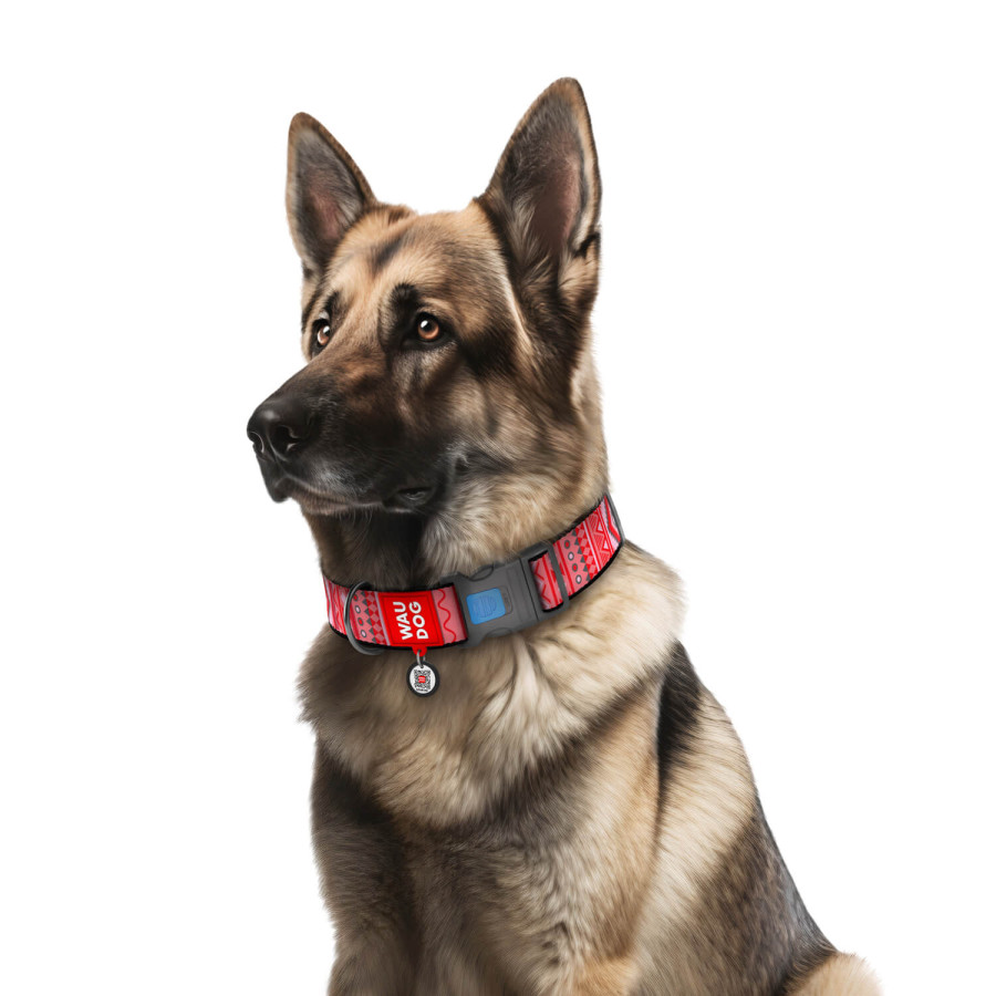 Нашийник для собак нейлоновий WAUDOG Nylon з QR паспортом, малюнок "Етно червоний", пластиковий фастекс 46-70 см 35 мм