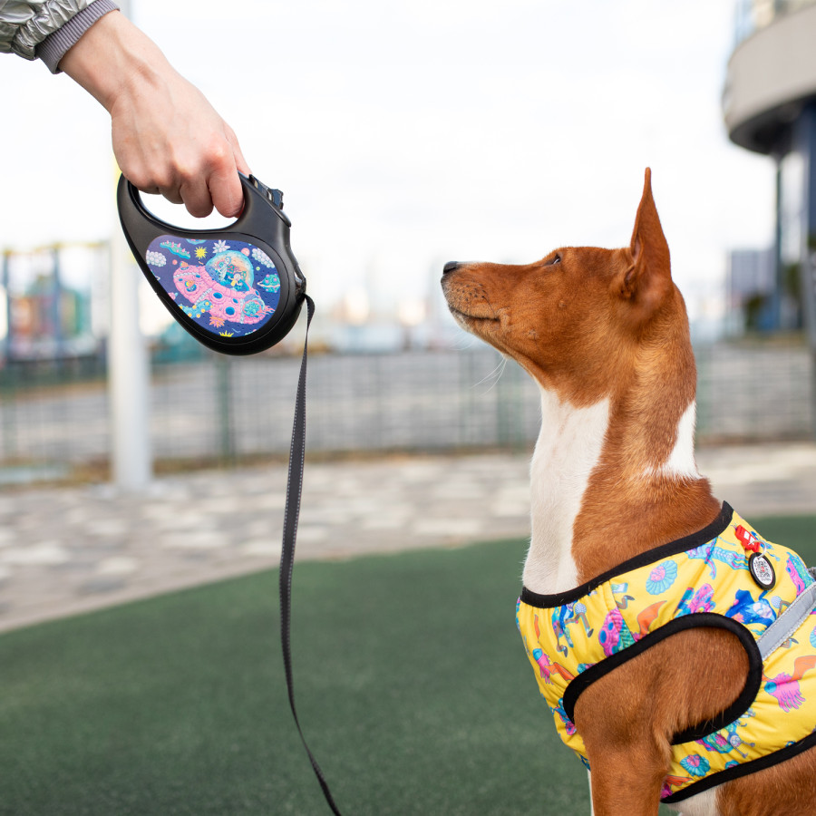 Шлея для собак м’яка WAUDOG Clothes з QR паспортом, малюнок "Рік та Морті 3"