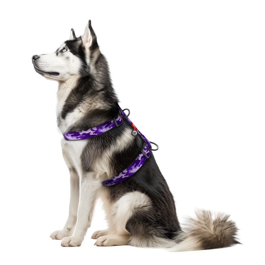 Шлея для собак анатомічна H-подібна WAUDOG Nylon з QR паспортом, малюнок "Фіолетовий камо", пластиковий фастекс, розмір XL