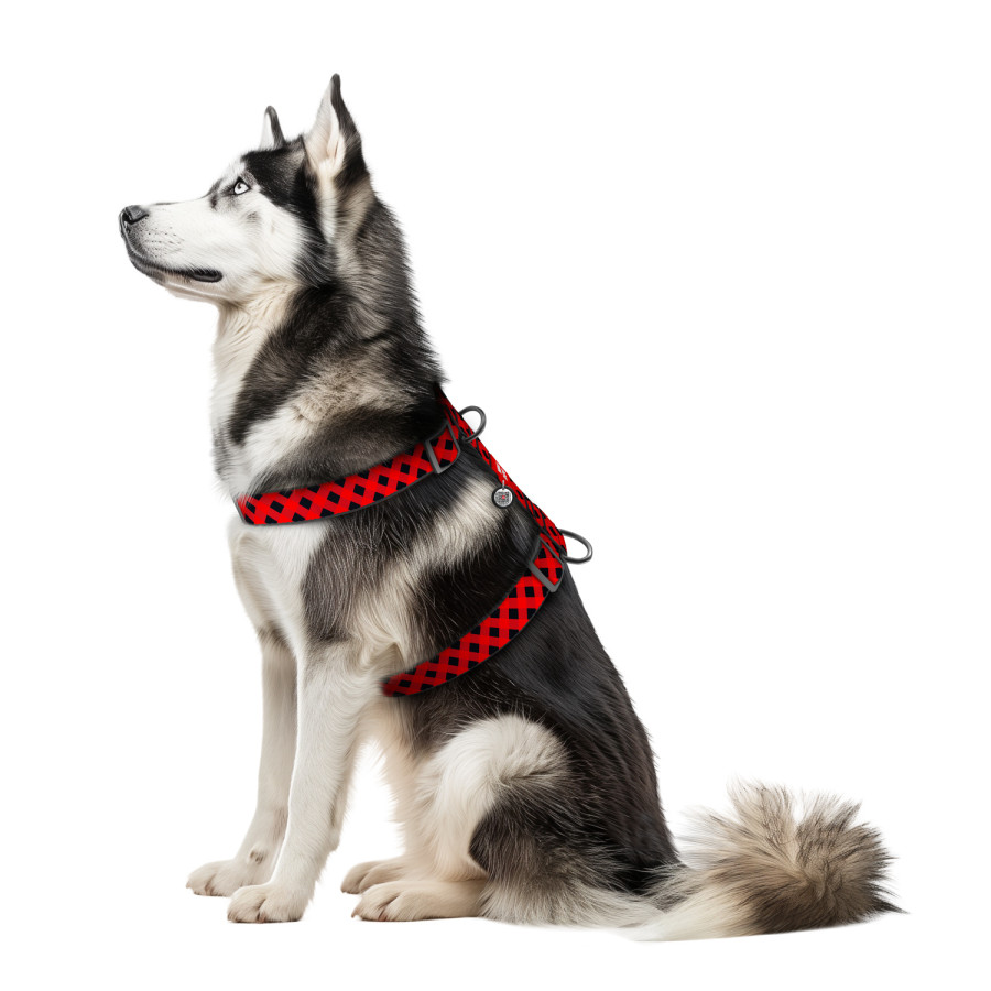 Шлея для собак анатомічна H-подібна WAUDOG Nylon з QR паспортом, малюнок "Шотландка червона", пластиковий фастекс, розмір XL