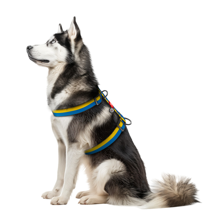 Шлея для собак анатомічна H-подібна WAUDOG Nylon з QR паспортом, малюнок "Colors of freedom", пластиковий фастекс, розмір XL
