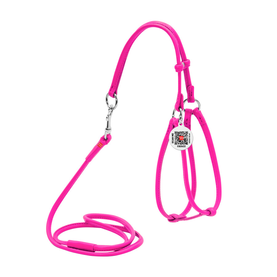 Кожаная шлея круглая WAUDOG Glamour N1 с поводком для кошек и мелких собак 105 см 6 мм Розовый