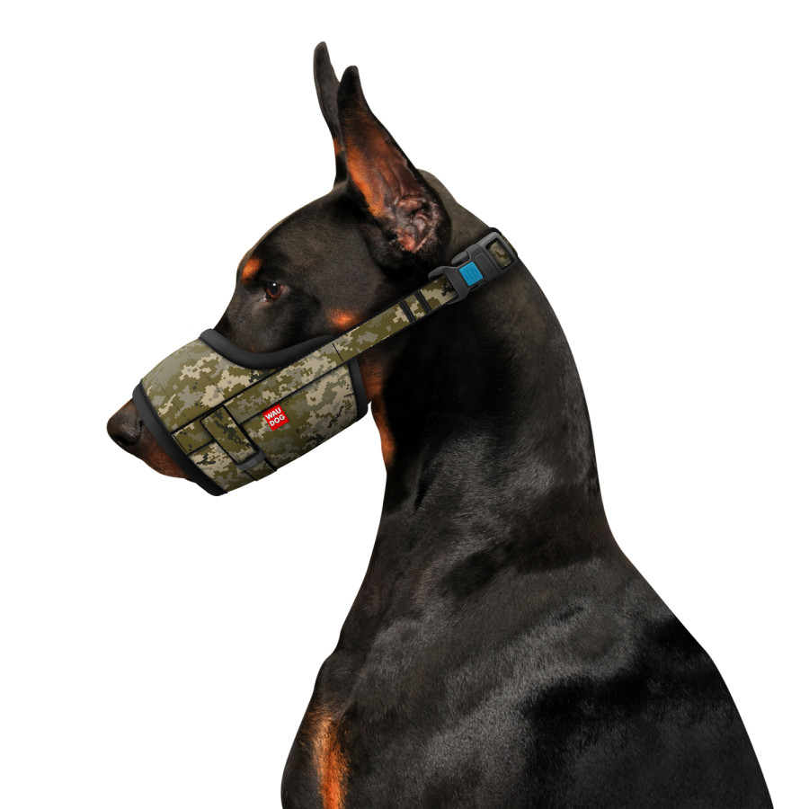 Намордник для собак WAUDOG Nylon, малюнок "Мілітарі", пластиковий фастекс