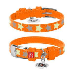 Кожаный ошейник для собак WAUDOG Glamour с узором «Звездочка» (светоотражающий и светонакапливающий рисунок) Оранжевый
