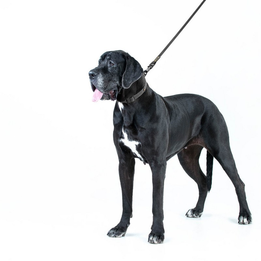 Нашийник COLLAR EVOLUTOR (КОЛЛАР ЕВОЛЮТОР) для собак середніх, великих і ДУЖЕ великих порід, пряжка з надміцного авіаційного алюмінія з площадкою для гравіювання, 25-70 см, Чорний