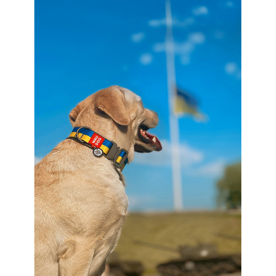 Ошейник для собак нейлоновый WAUDOG Nylon c QR паспортом, рисунок "Colors of freedom", металлическая пряжка-фастекс