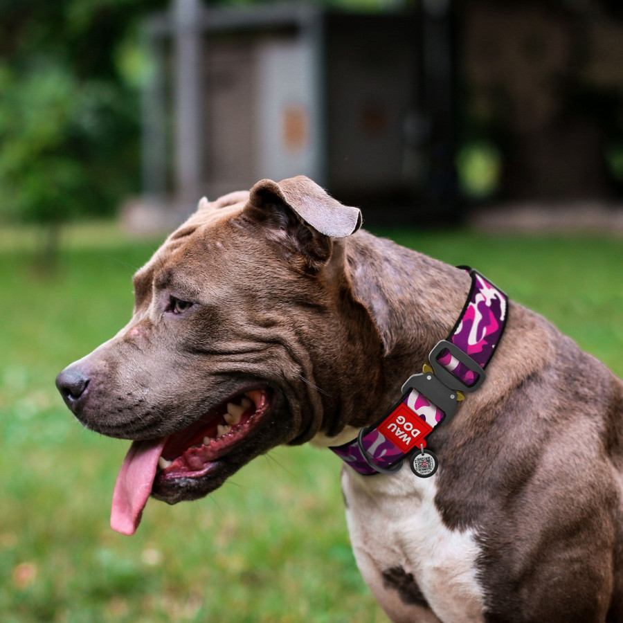 Collar for dogs nylon WAUDOG Nylon with QR passport, "Pink camo" pattern, metal fastex buckle, (width 35 mm, length 43-70 cm)