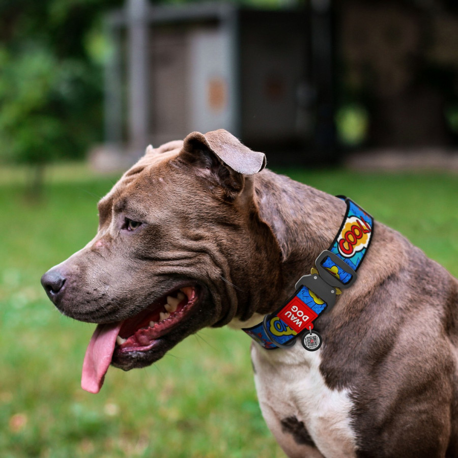 Collar for dogs nylon WAUDOG Nylon with QR passport, "WOW" pattern, metal buckle-fastex, (width 35 mm, length 43-70 cm)