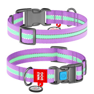 WAUDOG Nylon with QR tag, light-accumulative (glows in the dark) purple