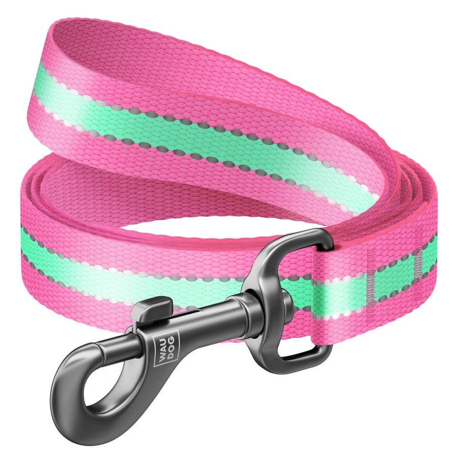 WAUDOG Nylon dog leashlight-accumulative (glows in the dark) pink