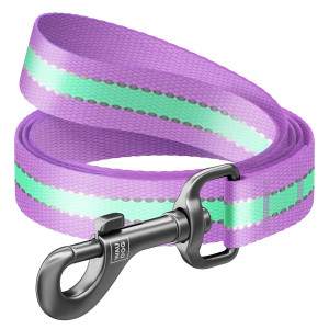 WAUDOG Nylon dog leashlight-accumulative (glows in the dark) purple