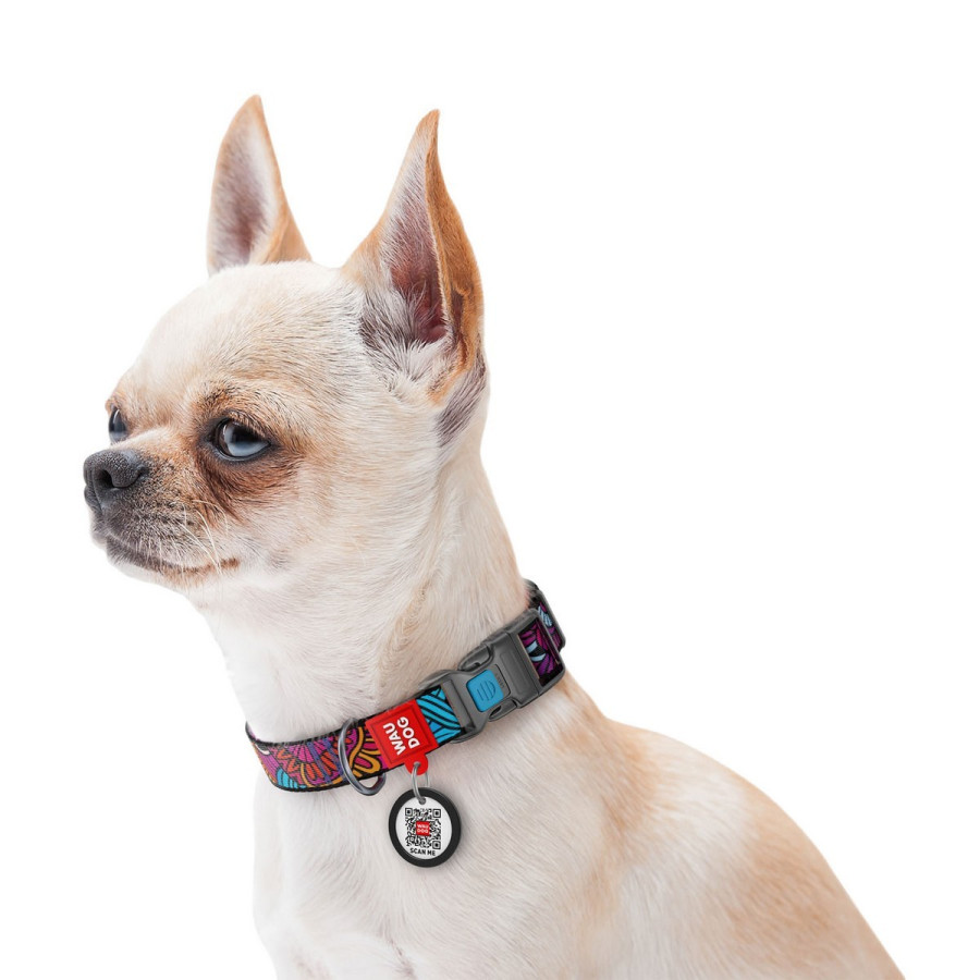 WAUDOG Nylon dog collar with QR-passport, "Summer", plastic fastex buckle