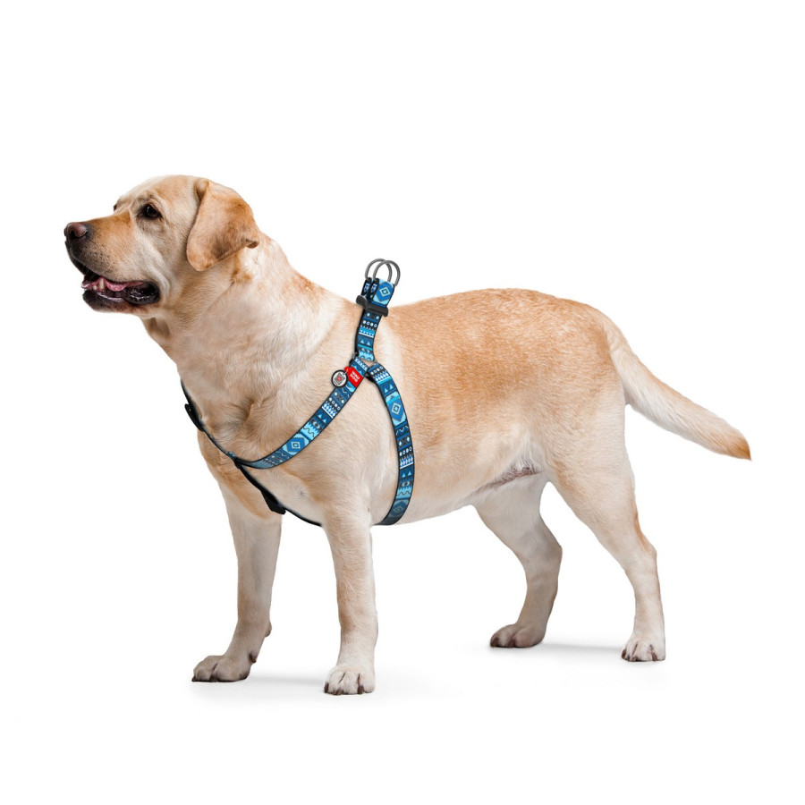 WAUDOG Nylon dog harness with QR-passport, QR tag, pattern "Ethno blue"