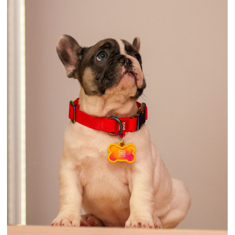 Ошейник для собак WAUDOG Nylon Recycled с QR паспортом, градиент, оранжевый