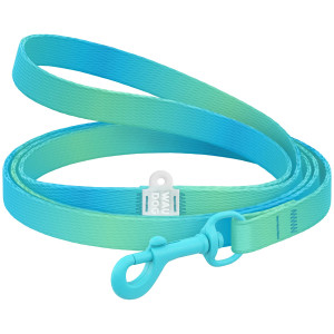 Поводок для кошек и собак мелких пород из нейлона WAUDOG Nylon Recycled, градиент, цветной карабин, голубой, XS, 122 см, 10 мм