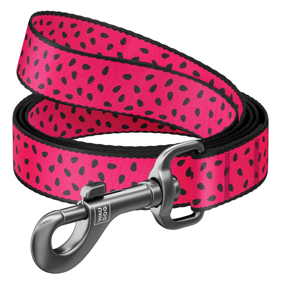 WAUDOG Nylon dog leash with QR-passport, "Watermelon"