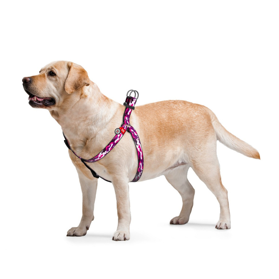 WAUDOG Nylon dog harness with QR-passport, QR tag, pattern "Pink camo"
