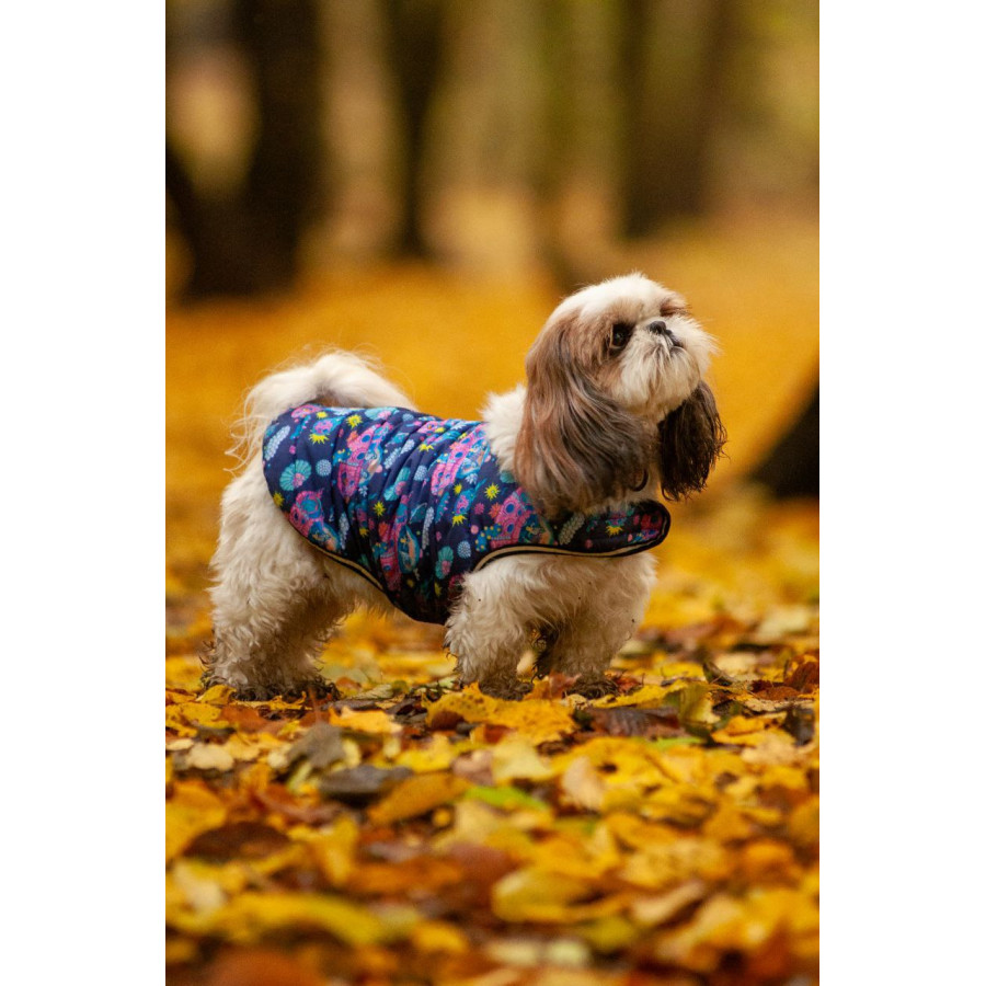 Курточка-накидка для собак WAUDOG Clothes, малюнок "Рік та Морті 1"