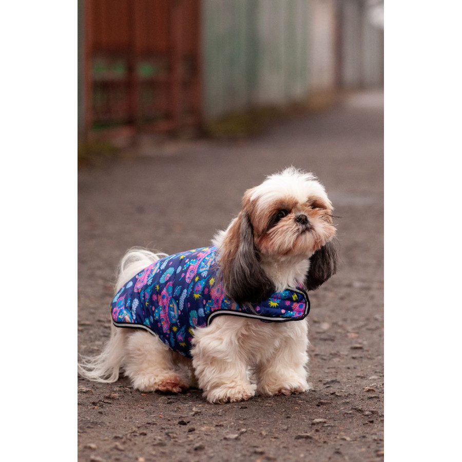 Курточка-накидка для собак WAUDOG Clothes, малюнок "Рік та Морті 1"